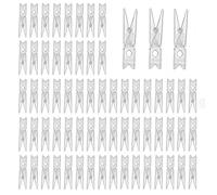 100 PCS Clear Mini Pegs, 2.5 X 0.3cm Plastic Small Craft Clips, Tiny Photo Clips for Hanging Photos, Organizing, Crafting and Home Use
