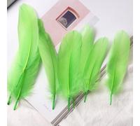 100 pcs Crafts Goose Feathers for DIY,10-17cm Natural Goose Feathers for DIY Wedding Decorations Angel Wings & Fairy Crafts Dream Catchers (Apple Green)