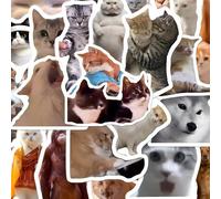 100 PCS Cute Cat Stickers, Funny Meme Cats Sticker Pack Waterproof Vinyl Cute Animal Decals Funny Cats Stickers Pack for Kindle Water Bottles Skateboard Guitar Snowboard Luggage for Cat Lovers