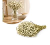 100 Pcs Dried Gypsophila, White Blooms, Green Stems, Boxed Craft Set | For card makers, resin crafters and home stylists, add floral detail to invitations, vase displays and handmade projects.
