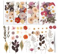 100 Pcs Dried Pressed Flowers,Real Natural Dried Wildflowers Leave with Tweezer Floral Decoration for DIY Crafts,Candle Making,Resin Mold and Scrapbooking Mixed Yellow