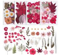 100 Pcs Dried Pressed Flowers,Real Natural Dried Wildflowers Leave with Tweezer Floral Decoration for DIY Crafts,Candle Making,Resin Mold and Scrapbooking Mixed Pink