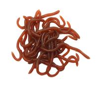 100 PCS Fake Worms,Stretchy Toy Worms for Children Halloween Decoration, Lifelike Worm Prank Trick Toy Halloween Decoration Reusable April Fools Day Pranks Favor Gifts, Fishing