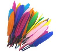 100 PCS Feathers for Crafting, Coloured Feathers for DIY, Party Decorations, Dream Catchers, Costume Design, Home Decoration, Photography Props, Craft Feathers in Vibrant Colors