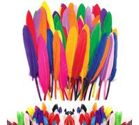 100 Pcs Feathers for Crafting, Feathers, Craft Feathers, Coloured Feathers, Colorful Craft Feather in Bright Colors, Feather Decoration Crafts for DIY Dream Catcher Hat Vase Mask