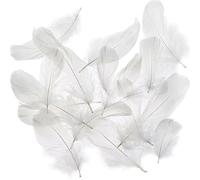 100 PCS Feathers for Crafting, Fluffy Soft Small Large Natural Goose for DIY Dream Catcher Carnival Decorations Hat Vase Mask Fluffy Soft Feathers Bulk for Wedding Home Party (White)