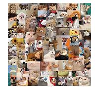 100 Pcs Funny Influencer Cat and Dogs Meme Stickers Pack CAT Sticker Waterproof Cool Graffiti Vinyl Decals for Laptop Water Bottle Skateboard Phone Luggage,Vinyl Stickers for Cat and Dog Mom