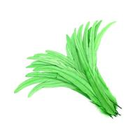 100 Pcs/Lot 25-30 Cm Rooster Tail Feathers for Crafts Carnival Accessories Wedding Party Decoration Fruit EN8