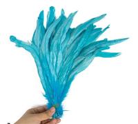 100 Pcs/Lot Red Rooster Tail Feathers Bulk 25-40 Cm Colorful Chicken Feathers for Carnival Costumes Decoration Peacock Blue 25-30cm 100Pcs