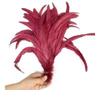 100 Pcs/Lot Red Rooster Tail Feathers Bulk 25-40 Cm Colorful Chicken Feathers for Carnival Costumes Decoration Red Wine 25-30cm 100Pcs