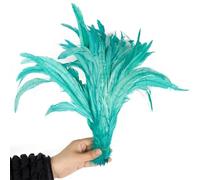 100 Pcs/Lot Red Rooster Tail Feathers Bulk 25-40 Cm Colorful Chicken Feathers for Carnival Costumes Decoration Peacock EN8 35-40cm 100Pcs