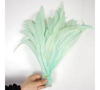 100 Pcs/Lot Red Rooster Tail Feathers Bulk 25-40 Cm Colorful Chicken Feathers for Carnival Costumes Decoration Mint EN8 25-30cm 100Pcs