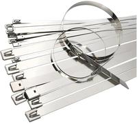 100 Pcs Metal Zip Ties, Wide 4.6-19mm Length 100-1500mm 304 Stainless Steel Heavy Duty Zip Ties for Bundling, Gardening, Outdoor(7.9x150mm)