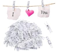 100 Pcs Mini Clear Pegs 34mm Tiny Little Photo Clips Transparent Plastic Spring Pegs for Hanging Photos Card Paper Arts Crafts Picture Scrapbooking Weddings Parties Decoration