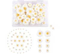 100 pcs Mini Daisy Decorations, Artificial Resin Daisy Flowers Resin Crafts Small Decorative Daisies Charms, White Flatback Daisy Flowers with Storage Box for DIY Crafts, Party And Home Decoration