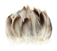 100 Pcs Natural Feathers Fluffy Natural Goose Feathers 6-12cm DIY Crafts Feathers Bulk Feather for Hats Earring Wings Dream Catcher Activities Project Wedding Party Cosply Props Home Decoration