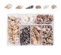 100 Pcs Natural Seashell Mix for Crafts & Decor - Spiral Shells, Starfish, Sea Urchins for Nautical & Beach Themed DIY Projects