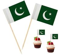 100 Pcs Pakistan Flag Pakistan Toothpick Flags, Cocktail Picks Mini Stick Cupcake Toppers Country Picks Party Decoration Celebration Cocktail Food Bar Cake Flags