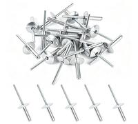 100 Pcs Pop Rivets for Metal, M4.8x20mm Aluminium Pop Rivet Set, Aluminum Blind Rivets with Large Flange for Sheet Metal Woodworking Furniture Automotive Mechanical(Silver)