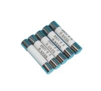 100 Pcs RO55 fuse R055 ceramic fuse tube 250V13A 15A 16A 20A 25A 5X25(13A)