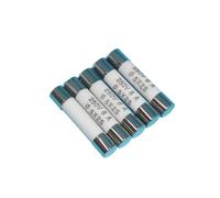 100 Pcs RO55 fuse R055 ceramic fuse tube 250V13A 15A 16A 20A 25A 5X25(16A)