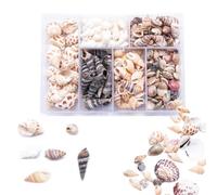 100 Pcs Seashell Mix for Crafts & Decor - Spiral Shells, Starfish, Sea Urchins for Nautical Decor, Beach Themed Parties & DIY Projects