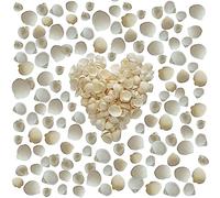 100 pcs Small Tiny Natural White Cockle Sea Shells for Wedding Decor, Arts & Craft. Beach Shells 5mm-10mm for Nautical Theme Home Decor, Gifts, Vase Fillers, Resin Art, Frames, Beach Bottles Fillers
