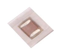 100 Pcs SMD SMT Capacitor Chip Capacitors MLCC 1.6pF ±0.1pF 25V 0201 NP0 RF03N1R6B250CT