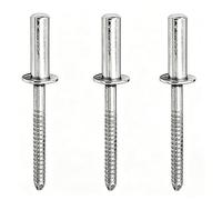 100 Pcs Stainless Steel Blind Rivets, 4.8mm Closed End Pop Rivets with Dome Head for Woodworking, Furniture, Sheet, Metal, Automotive, Mechanical, Industry(4.8x14mm)