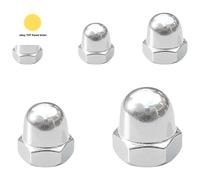 100 PCS Stainless Steel Dome Cap Nuts, Hex Acorn Nut Kit, M3 M4 M5 M6 M8 Assort