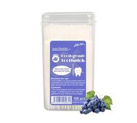 100 Pc's Toothpicks - Flavored Toothpicks, 6.4cm Infused Tooth Picks - Double-Headed Fruit-Flavored Toothpick with Mint, Strawberry, Grapefruit & Grape | Interdental Mouth Care & Breath