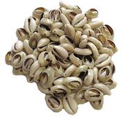 100 Pcs White and Lvory Natural Cowrie Shells Beads, Oval Beach Seashells African Shells for Hair Jewelry Making DIY Craft Beading Supplies