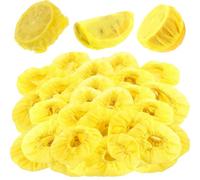 100 Pcs Yellow Lemon Nets for Squeezing, Disposable Lemon Covers for Squeezing Juice & Filtering Seeds, Elastic Mesh Wraps for Citrus Wedges