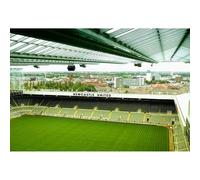 100-piece（45.5x35.5cm） Adult Puzzle, St. James' Park Newcastle Puzzle, Home Decor Puzzle Toy Gift