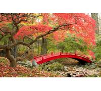100 Piece Jigsaw Puzzles, Educational Puzzle Toys for Toddlers Boys Girls, Park, Japanese Garden, Fall Season 45,5x35,5CM