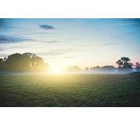 100 Piece Puzzle for Children Natural Beauty, Sun, Fog, Dew 45.5x35.5CM