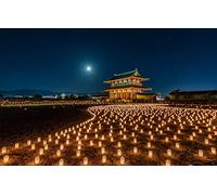 100 piece puzzlesNatural beauty,Japan,lanterns,Nara Park 45.5x35.5CM