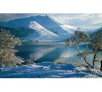 100 Piece Scottish Western Highlands Tree Winter Snow Landscape Jigsaw Puzzle for Adults 45.5x35.5CM