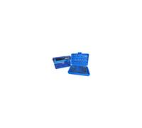 Blue Spot 14153 100 Piece Security Bit Set