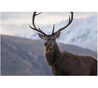 100 Piece Wooden Jigsaw Puzzle Red Deer Stag In Highland Scotland Large Puzzle Game For Adults And Teenagers 45.5x35.5CM