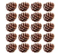 100 Pieces 2-3cm Christmas Pine Cones Noel Pines Cone Bulk for Wreath Decorations, Christmas tree Winter Decorations(2-3cm)