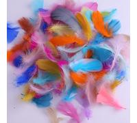 100 Pieces 6-12cm Natural Goose Feathers,Colorful Goose Feathers in Bulk,Luxury Feathers for DIY Craft Wedding Party Home Decorations Dream Catcher (Mixed Color2)