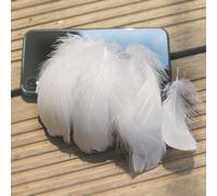 100 Pieces 6-12cm Natural Goose Feathers,Colorful Goose Feathers in Bulk,Luxury Feathers for DIY Craft Wedding Party Home Decorations Dream Catcher (White1)