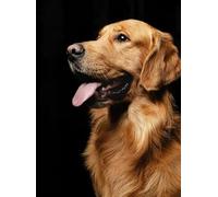 100 Pieces Animal Puzzle Jigsaw Puzzles Toys Funny Golden Retriever Puppy Intellectual Educational Decompressing Puzzle Toy For Adults Gift A40 45,5x35,5CM