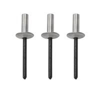 100 Pieces Blind Rivets with Large Flange Waterproof, 4.8mm Aluminum Sealing Rivets, Dome Head Flat Head Rivets for Drainage Ditches, Thin Metal Roofs, Shower Rooms, Fishing Boats(4.8X16X16mm)
