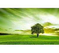 100 Pieces Jigsaw Puzzles for Adults,Family Challenging Puzzle Game,Fun Intellectual Art puzzles for Decompression and Home Decor Green Field Tree(15.7x11 inch)