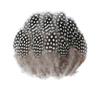 100 Pieces of Pearl Feathers, Brown Feathers, Feather Crafts, Feather Decoration, Guinea Fowl Feathers, Jewelry Accessories, DIY Crafts Decoration