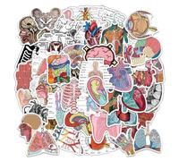 100 Pieces Organ Anatomy Stickers for Computer, Notebook, Luggage, and Decorative Purposes