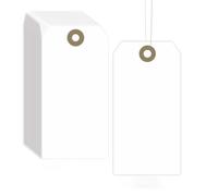 100 Pieces White Price Tags with Iron Wire, String Price Tags, Writable Hanging Item Labels for Jewelry Clothing, Clothing Display Price, Wedding Birthday Crafts Packaging Luggage (6X 12cm)