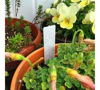 100 Plastic Plant Labels for Horticulture Use Matte Finish Both Sides for Legible Marking Resistant to and Breakage